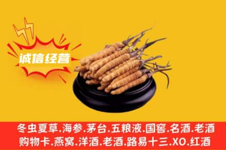 泉州回收冬虫夏草
